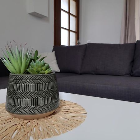 Clermont Centre- Appartement Prive Bagian luar foto